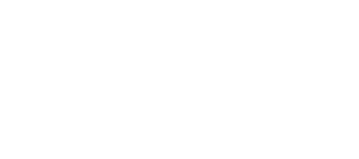 Shopify Select Partner